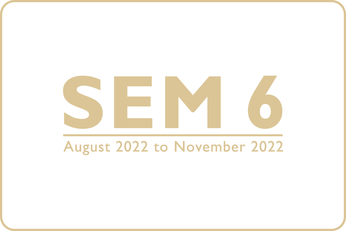 SEM6